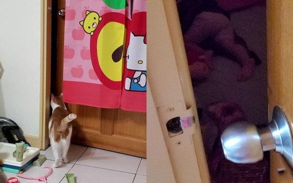 铲屎官罚站自己的女儿不到三分钟,家里的橘猫上前安慰,无效后向铲屎官发出橘式“警告”插图(2) 铲屎官罚站自己的女儿不到三分钟,家里的橘猫上前安慰,无效后向铲屎官发出橘式“警告”插图(2)