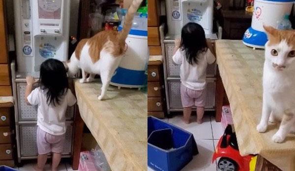 铲屎官罚站自己的女儿不到三分钟,家里的橘猫上前安慰,无效后向铲屎官发出橘式“警告”插图(4) 铲屎官罚站自己的女儿不到三分钟,家里的橘猫上前安慰,无效后向铲屎官发出橘式“警告”插图(4)