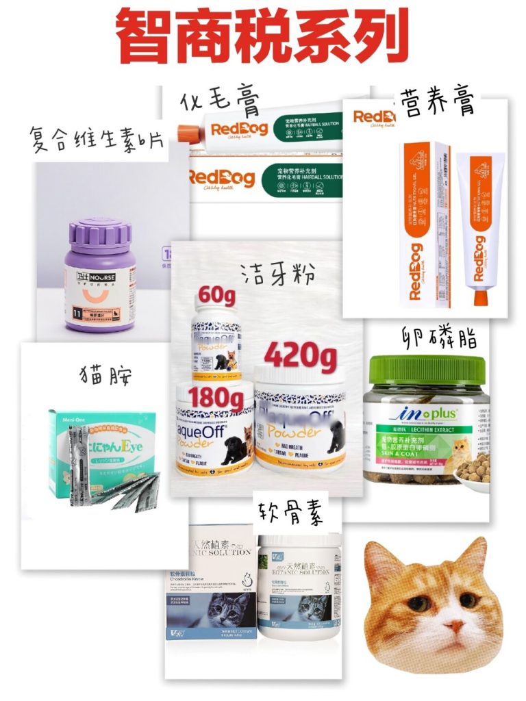 养猫指南|养猫不交智商税,不该买的不买!插图 养猫指南,养猫注意事项,养猫的好处