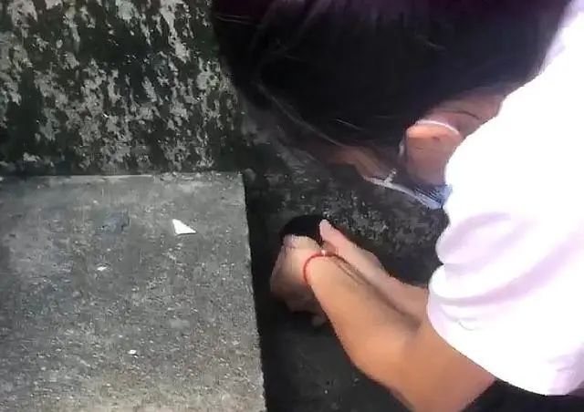 小流浪猫被卡下水管,进退两难,但它那求生的眼神,太震撼人心插图(3) 小流浪猫被卡下水管,进退两难,但它那求生的眼神,太震撼人心插图(3)