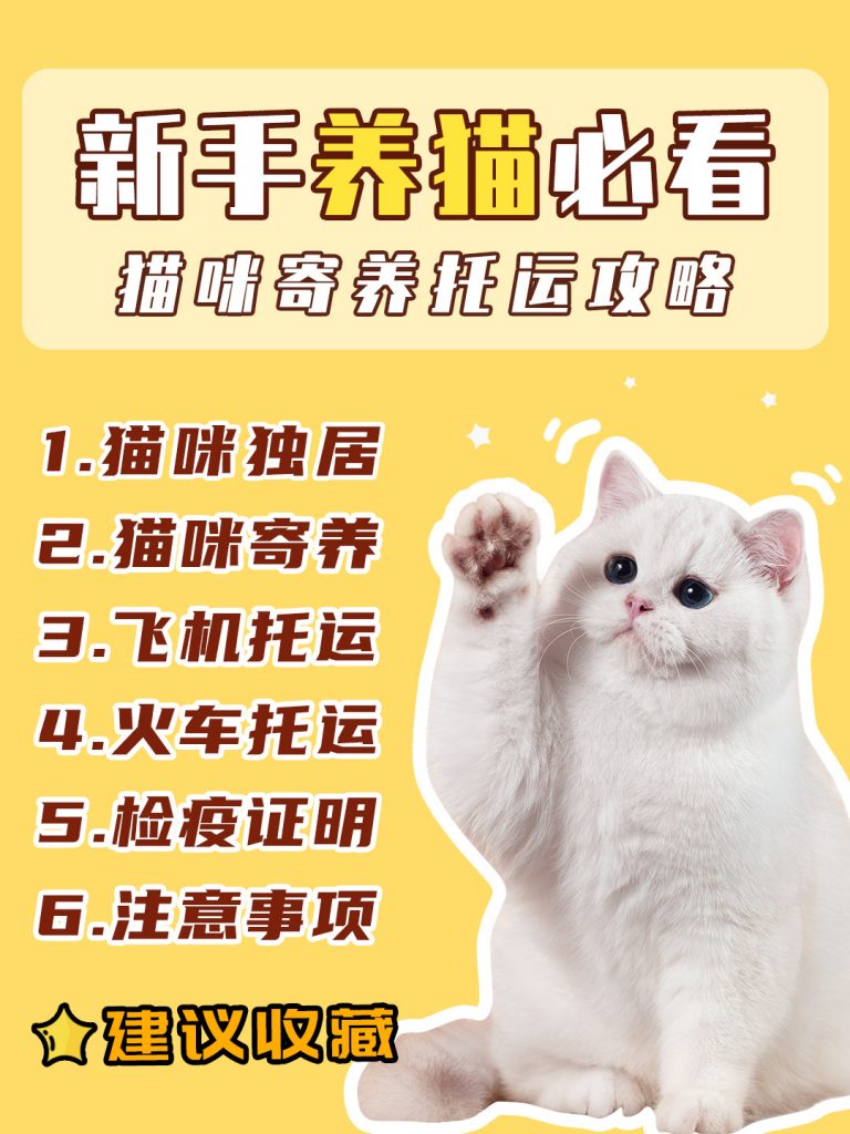 十一假期猫咪寄养|托运新手养猫攻略插图 十一假期猫咪寄养|托运新手养猫攻略插图