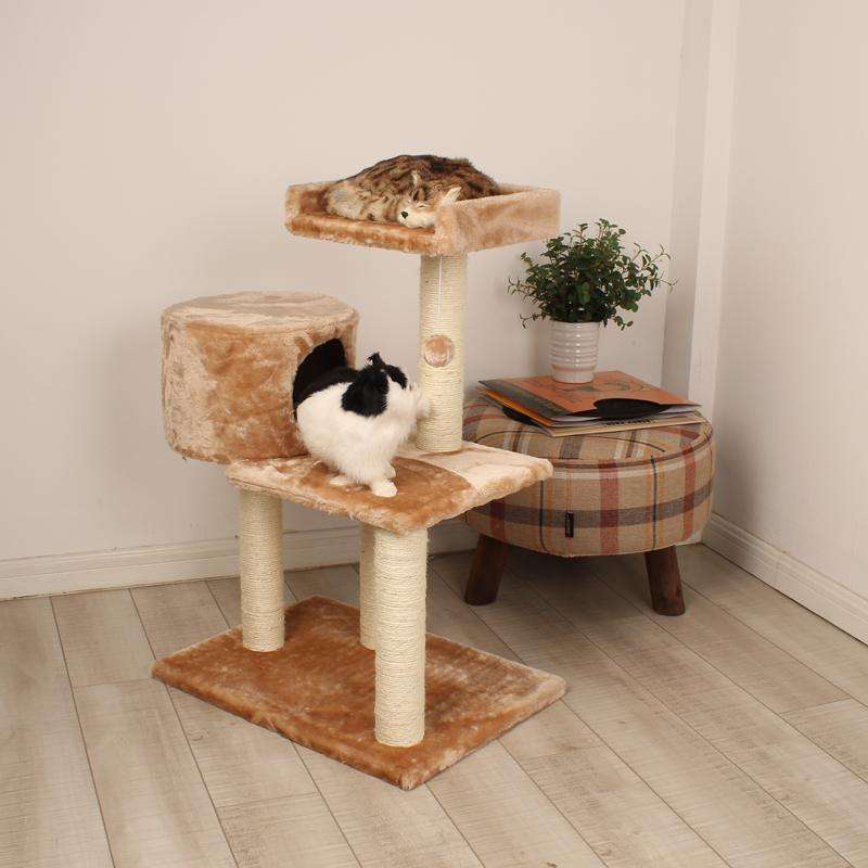 猫咪最喜欢的几种玩具,你都备齐了吗?插图(8) 猫咪最喜欢的几种玩具,你都备齐了吗?插图(8)
