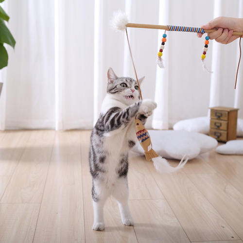 猫咪最喜欢的几种玩具,你都备齐了吗?插图(1) 猫咪最喜欢的几种玩具,你都备齐了吗?插图(1)