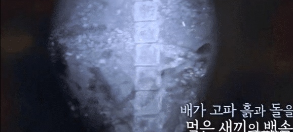 她不知妈妈去世了,把捡到的肉喂给妈妈,自己胃里全是石头插图(7) 她不知妈妈去世了,把捡到的肉喂给妈妈,自己胃里全是石头插图(7)