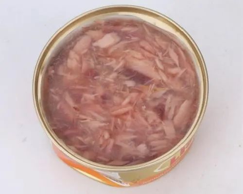 猫咪疱疹症状表现有哪些,怎么办怎样如何治疗,疱疹病毒是猫鼻支吗插图(2) 猫咪疱疹症状表现有哪些,怎么办怎样如何治疗,疱疹病毒是猫鼻支吗插图(2)