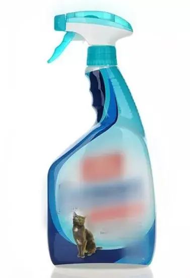 猫咪疱疹症状表现有哪些,怎么办怎样如何治疗,疱疹病毒是猫鼻支吗插图(5) 猫咪疱疹症状表现有哪些,怎么办怎样如何治疗,疱疹病毒是猫鼻支吗插图(5)