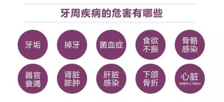 延长猫咪寿命的方法,你能坚持做吗?插图(1) 延长猫咪寿命的方法,你能坚持做吗?插图(1)