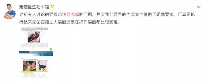 猫咪用生命换来的教训,疫苗不要打在这里!插图(6) 猫咪用生命换来的教训,疫苗不要打在这里!插图(6)