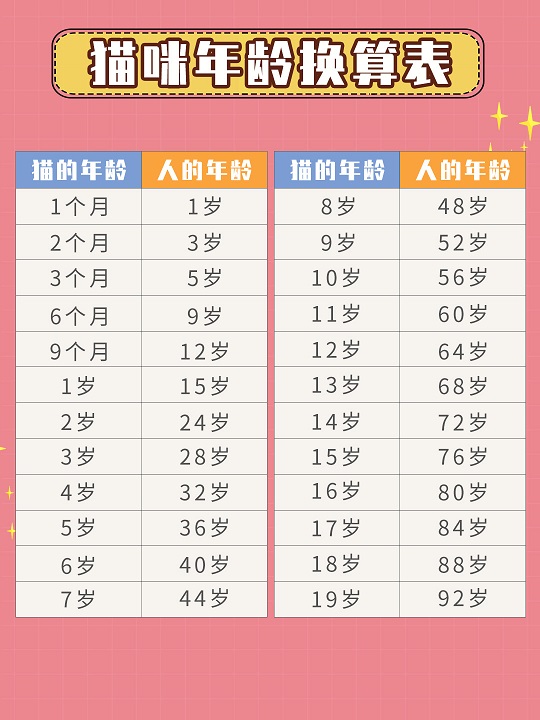 科学养猫全攻略|不同时期怎么养猫(附猫咪年龄换算表)插图 科学养猫全攻略|不同时期怎么养猫(附猫咪年龄换算表)插图