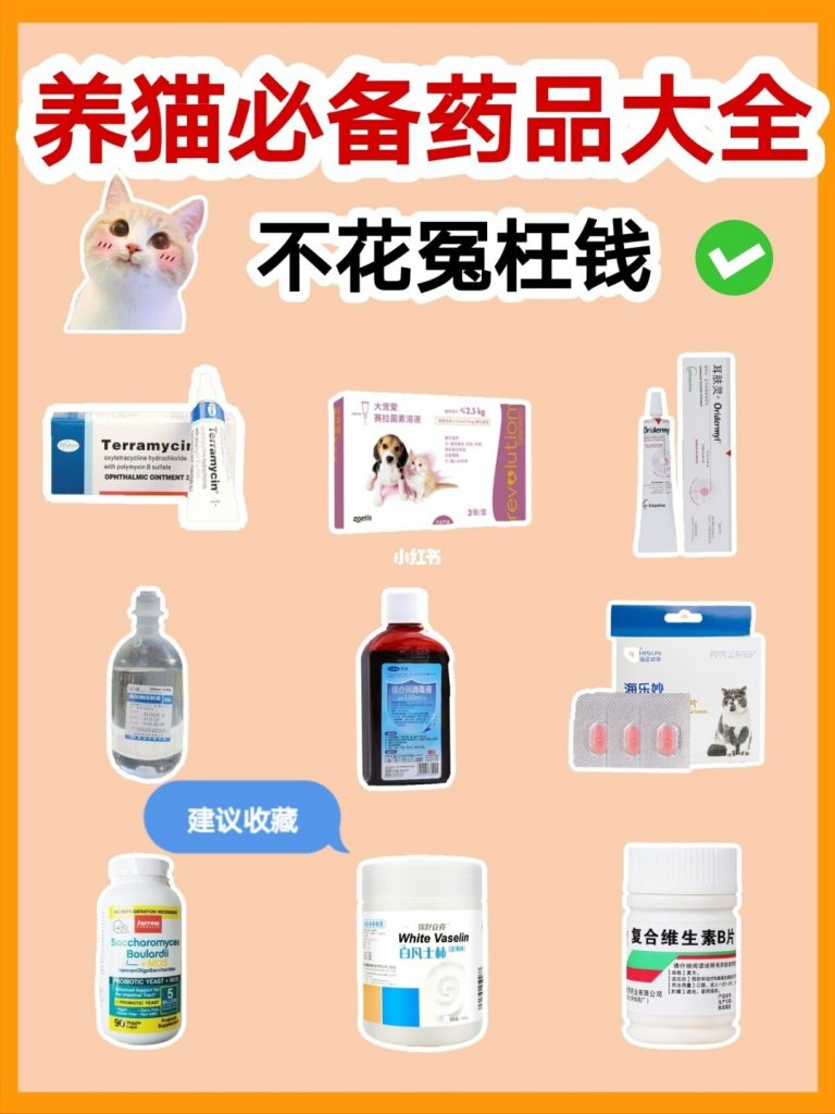 养猫必备药品大全|兽医推荐的养猫省钱攻略插图 养猫必备药品大全|兽医推荐的养猫省钱攻略插图